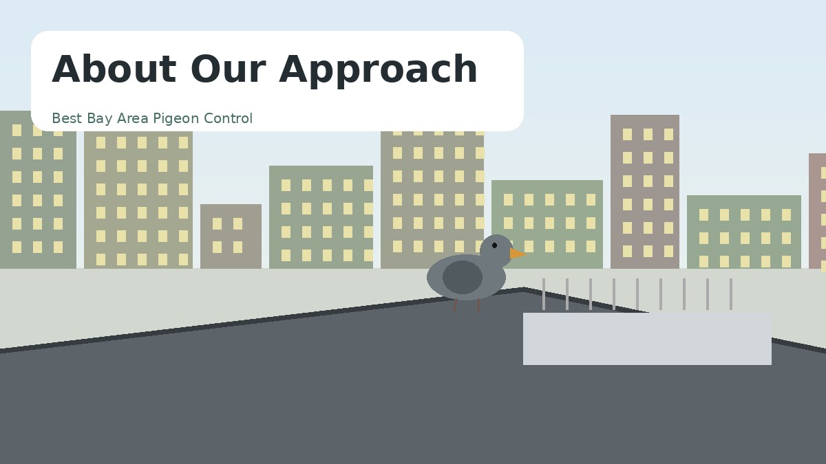 Illustration representing humane pigeon-control planning