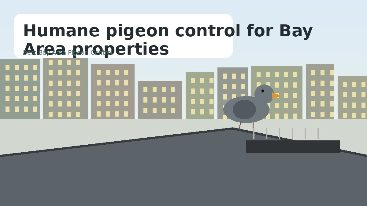Editorial illustration of Bay Area pigeon control on a roof