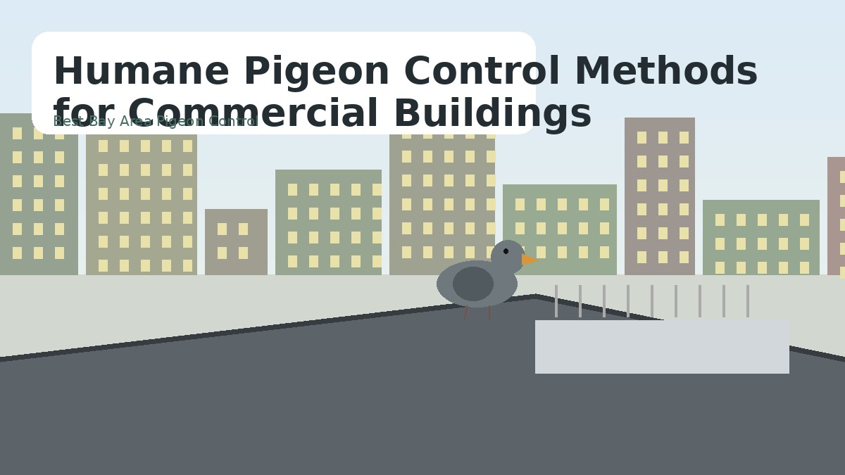 Humane bird-control installation on a commercial building